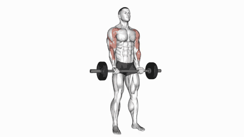نمایش حرکت جلوبازو درگ با هالتر