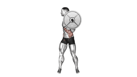 نمایش حرکت چرخش ایستاده با هالتر