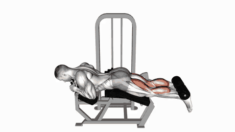 نمایش حرکت پشت‌پا خوابیده با اهرم (Lever Lying Leg Curl)