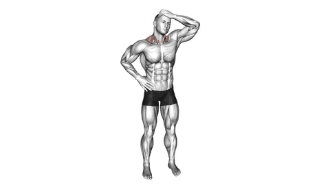 نمایش حرکت کشش گردن به طرفین