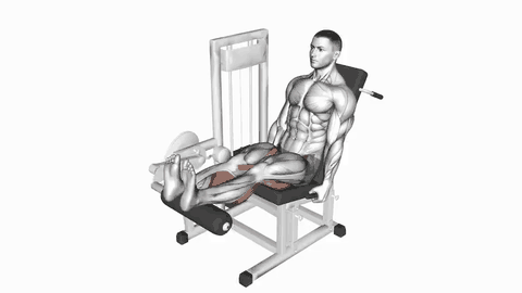 نمایش حرکت پشت‌پا نشسته با اهرم (Lever Seated Leg Curl)
