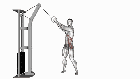 نمایش حرکت چرخش با سیم‌کش