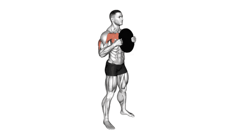 نمایش حرکت پرس صفحه ایستاده