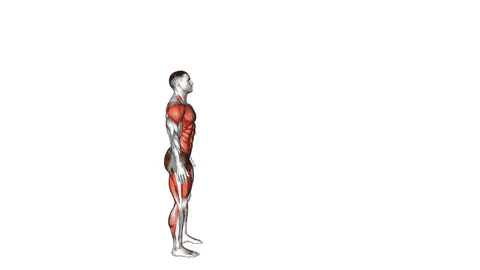نمایش حرکت پرش طول ایستاده