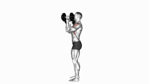 نمایش حرکت پرس اسکات با دمبل