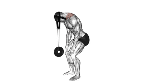 نمایش حرکت اکستنشن گردن ایستاده با وزنه
