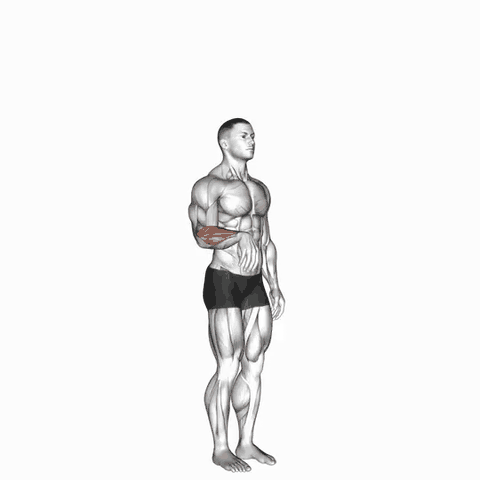 نمایش حرکت مچ - باز کردن - مفاصل