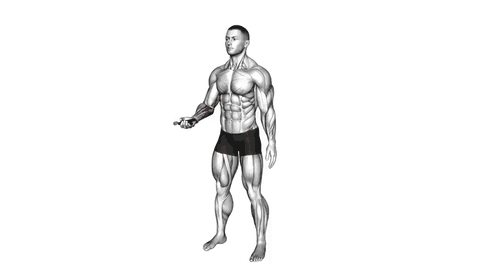 نمایش حرکت مچ‌جمعی Hand Spring
