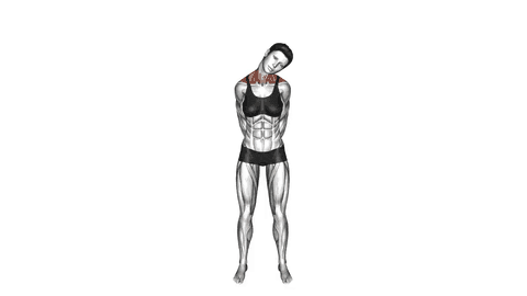 نمایش حرکت نیم‌دایره چرخشی گردن