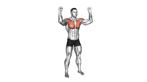 نمایش حرکت نیمه فلای سینه