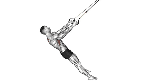 نمایش حرکت جمع کردن کتف‌ها (رترکشن) با بند معلق
