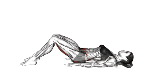 نمایش حرکت پل همسترینگ