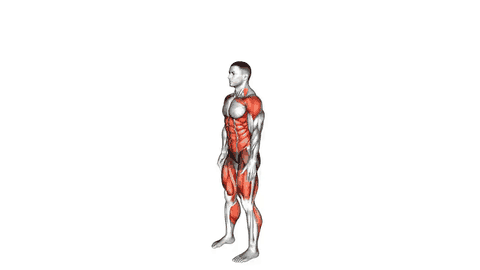 نمایش حرکت جامپ تاک
