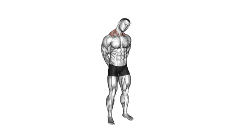 نمایش حرکت کشش دایره‌ای گردن