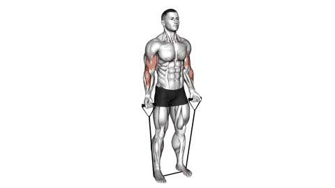 نمایش حرکت جلو بازو با کش