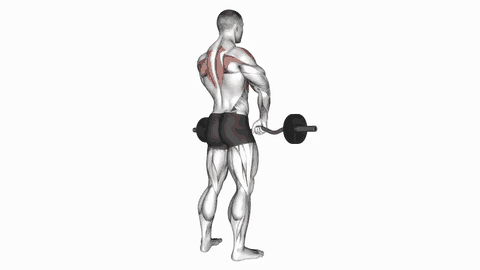 نمایش حرکت زیربغل سیم‌کش ایستاده تا چانه