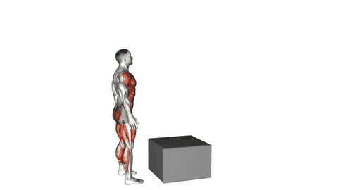 نمایش حرکت پیستول اسکوات پرشی روی جعبه