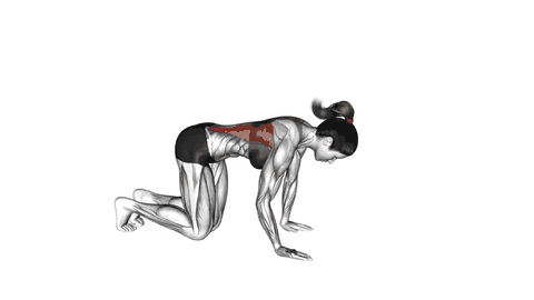 نمایش حرکت کشش لت در حالت زانو زده