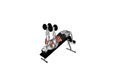 نمایش حرکت درازنشست شیب منفی با دمبل بالای سر